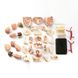 Модель черепа с нервами, сборная, 9 см, Edu-Toys