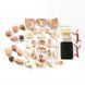 Модель черепа з нервами збірна 9 см, Edu-Toys