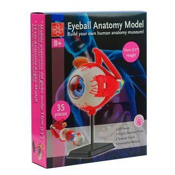 Модель очного яблука збірна 14 см, Edu-Toys